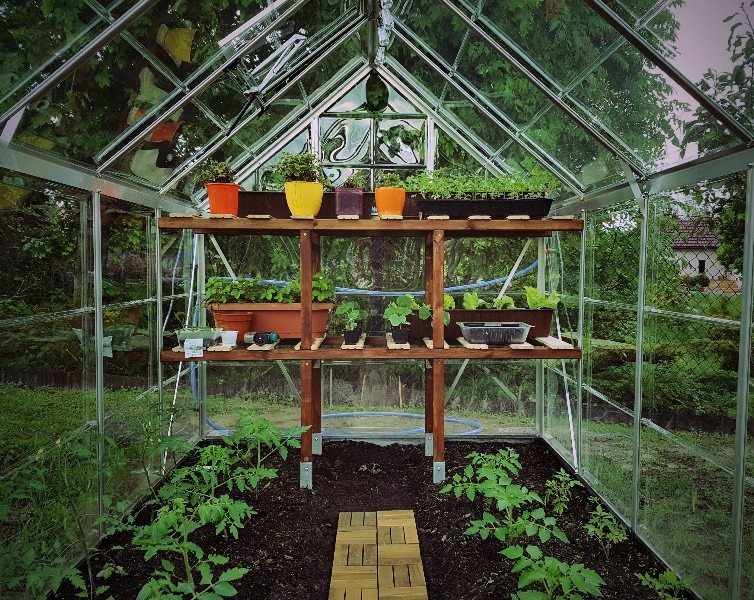 Ogród pod szybą – porównanie szklarni ogrodowych i ich materiałów wykonania